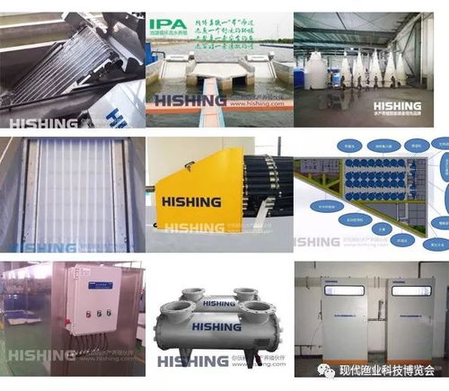 智能科技引領(lǐng)漁業(yè)新篇章 無人艇、增氧機(jī)、循環(huán)水與自動(dòng)喂料設(shè)備亮相現(xiàn)代漁業(yè)科技博覽會(huì)